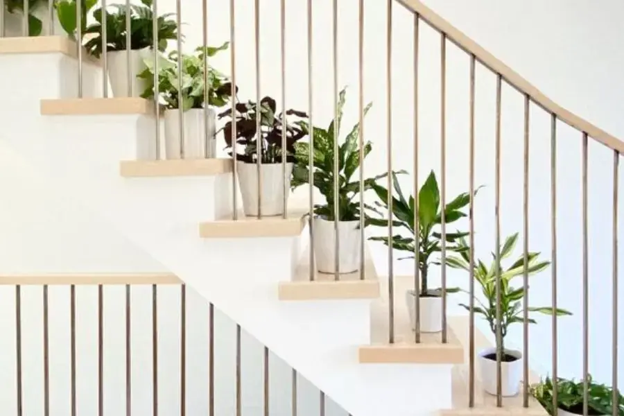 Sử dụng cây cảnh để trang trí bậc tam cấp phòng khách