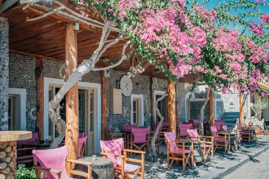 Không gian quán cafe thoáng mát, dễ chịu hơn khi có cây xanh.
