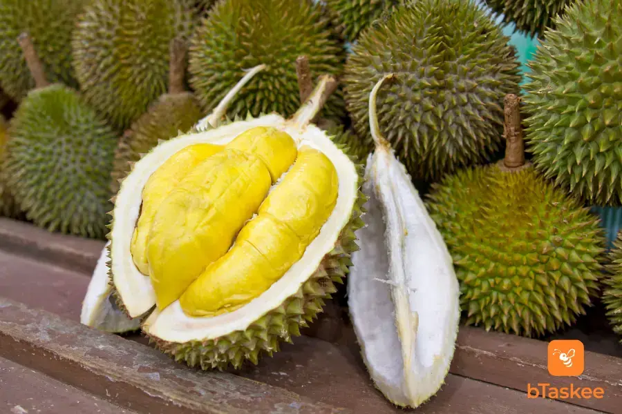 Vỏ sầu có tác dụng chống nhiễm trùng
