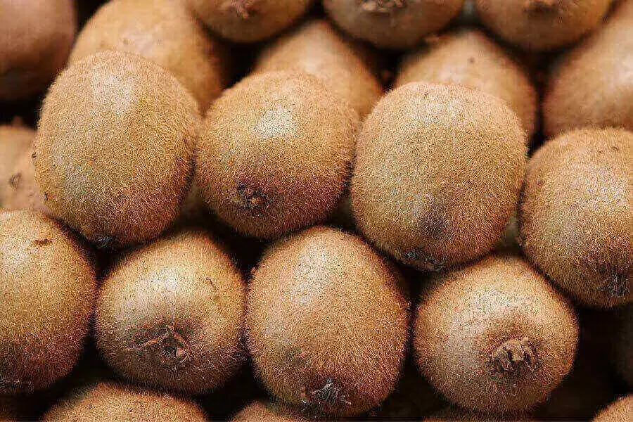Chọn những quả kiwi to, tròn không bị dập nát