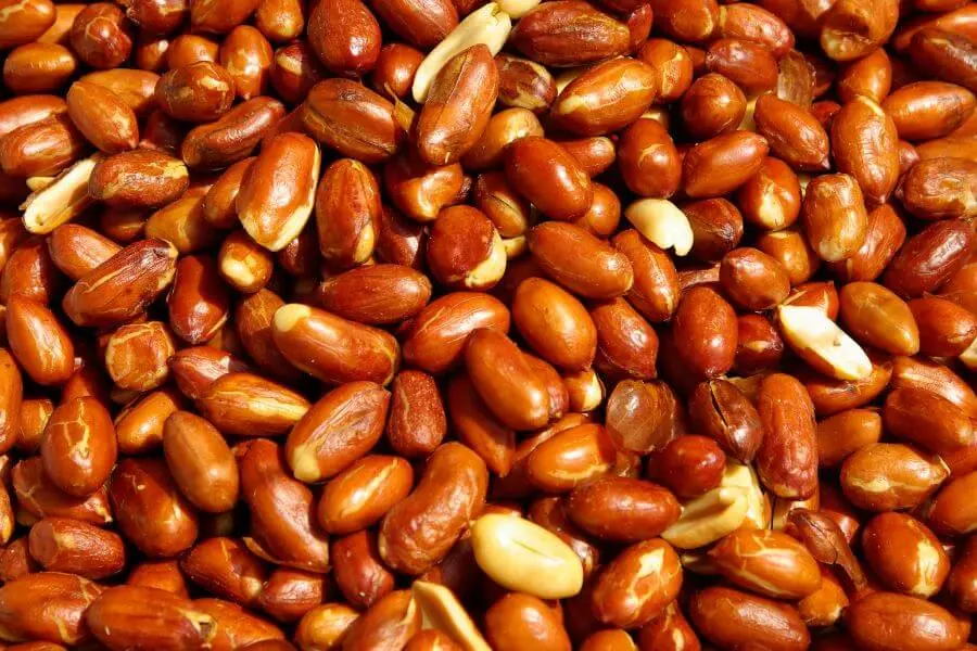 Hạt đậu phộng