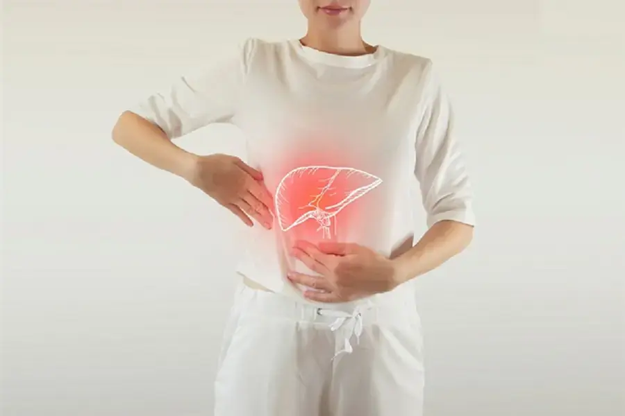 Vải thiều chứa chất bảo vệ tăng cường gan
