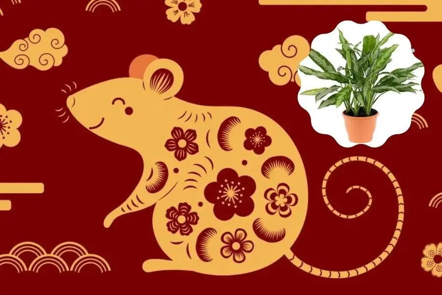 Giữ Tiền thường hợp với gia chủ tuổi Tý.