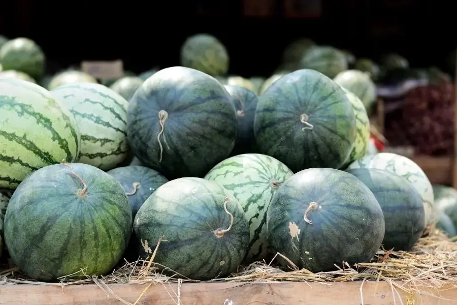 Cách bảo quản dưa hấu nguyên quả