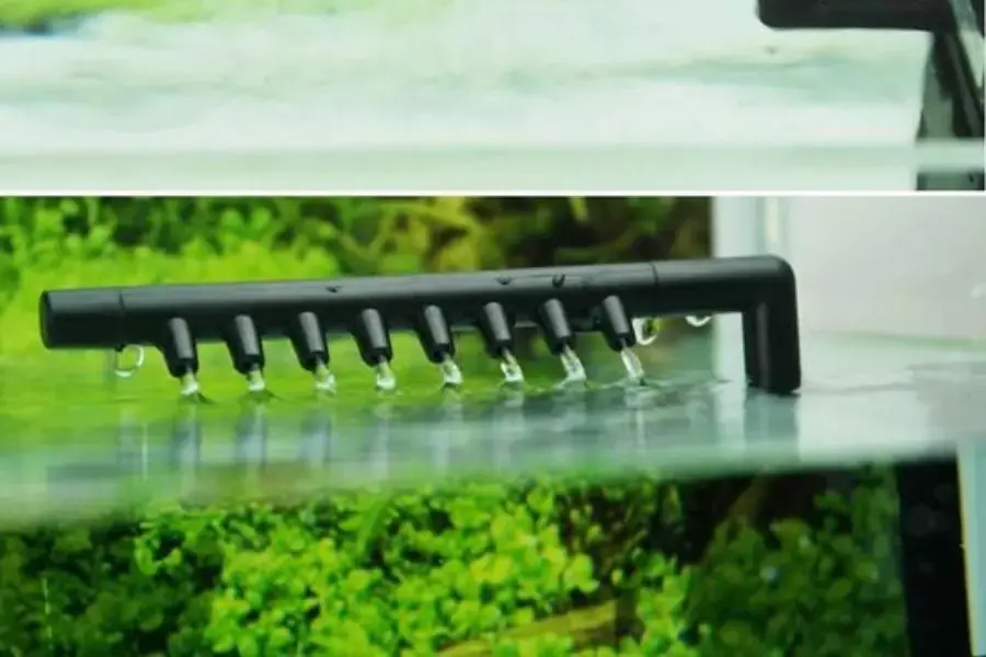 Bộ lọc nước chịu trách nhiệm duy trì chất lượng nước trong hồ.
