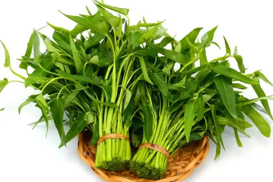 Ăn rau muống giúp ngăn ngừa tình trạng tích mỡ thừa trong cơ thể.