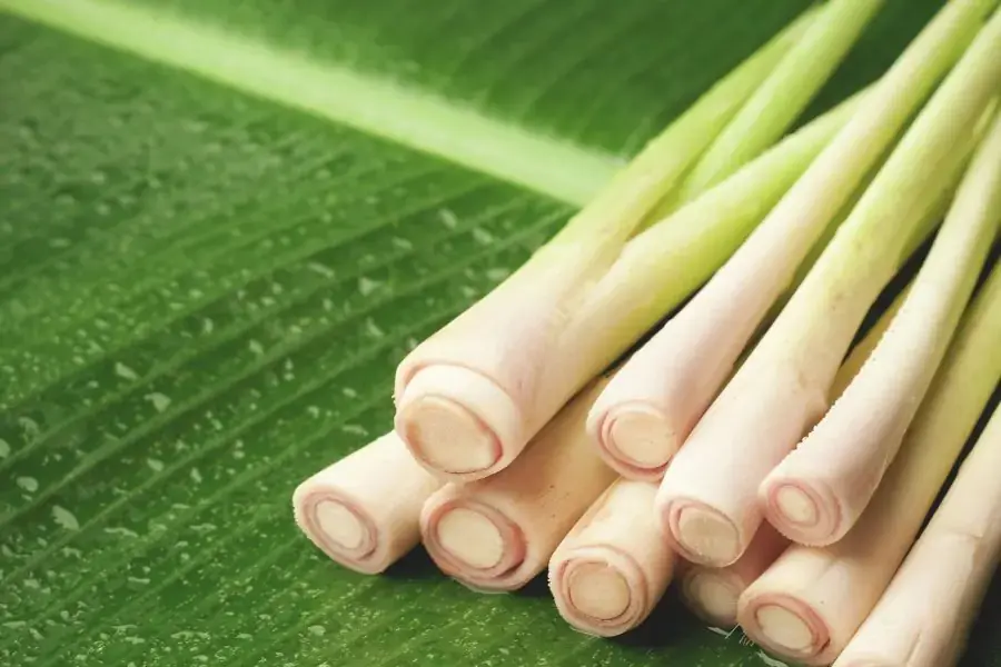 Rửa sả thật sạch sau đó cắt thành khúc