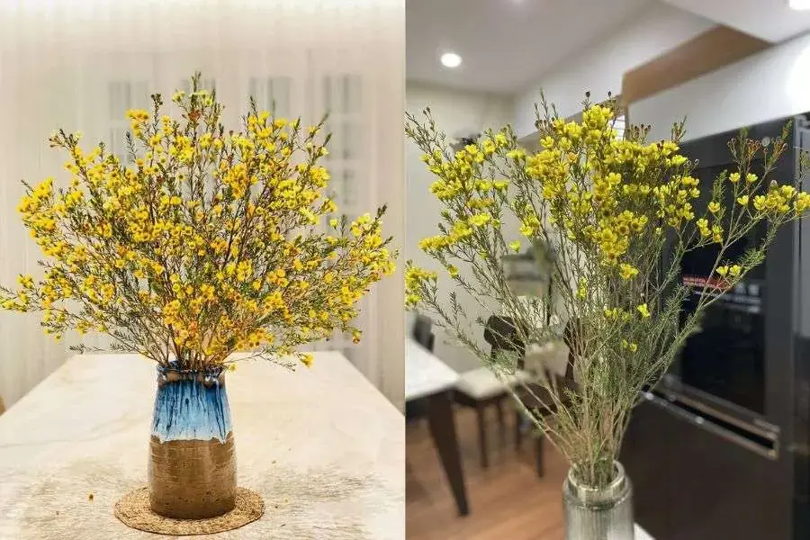 Cách cắm hoa thanh liễu vàng