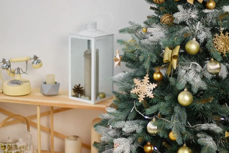 Tận hưởng mùa Giáng Sinh ấm áp bên cạnh cây thông Noel.