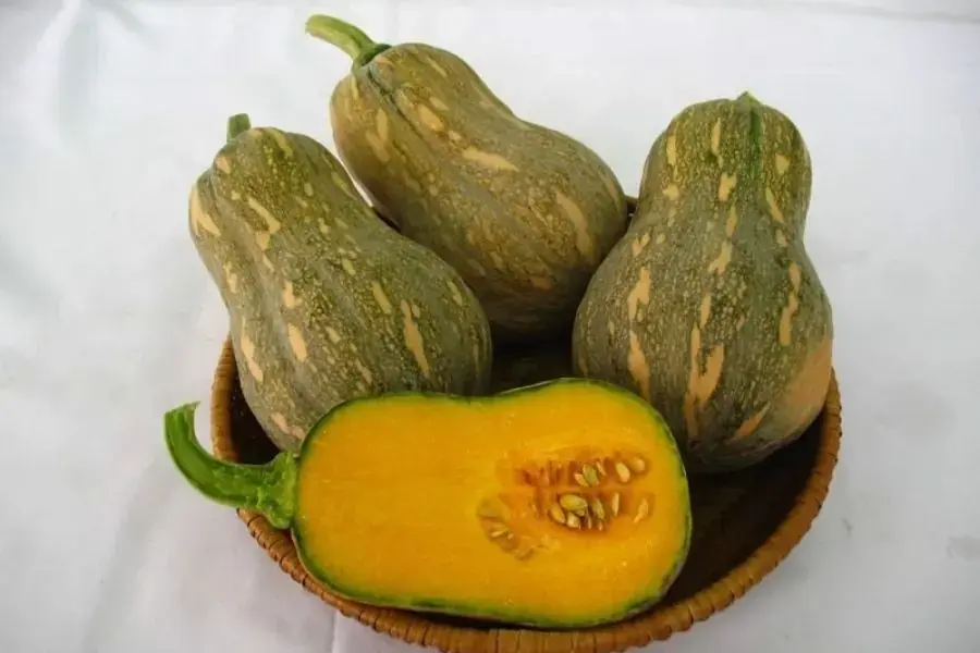 Bí đỏ hồ lô