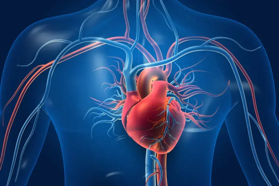 Lắc vòng đúng cách không chỉ cải thiện cân nặng mà còn hỗ trợ lưu thông tuần hoàn màu, bảo vệ cơ thể khỏe mạnh.