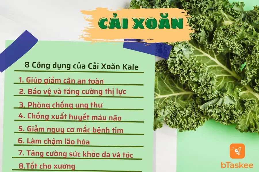 Công dụng của cải xoăn