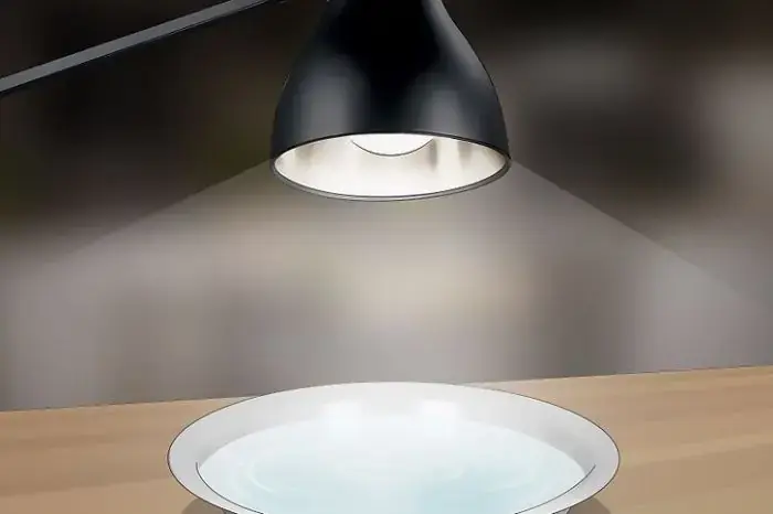 Dùng đèn có ánh sáng trắng đuổi con thiêu thân