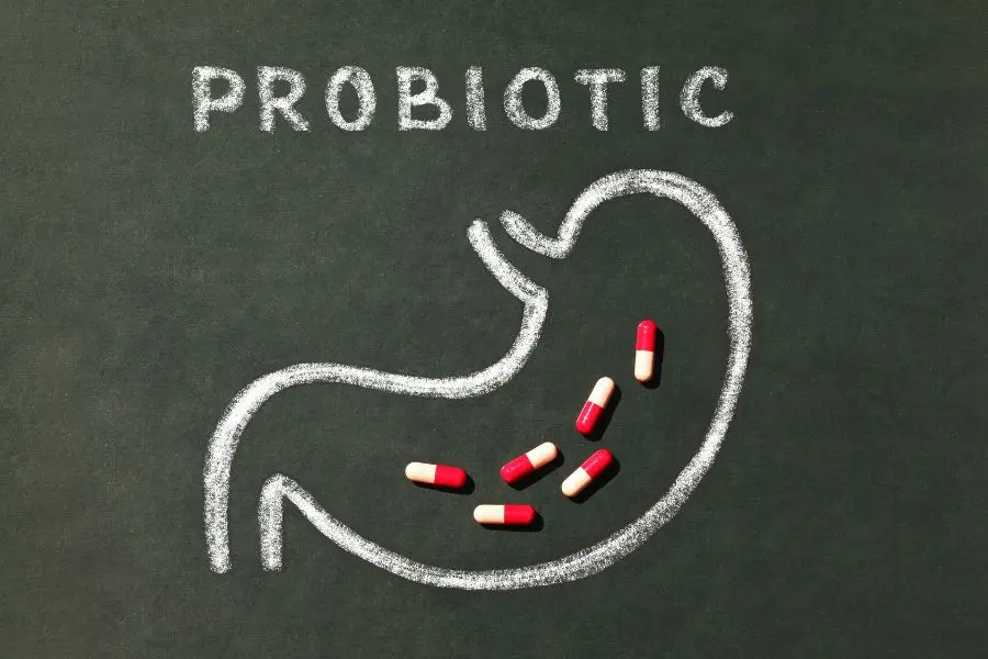 Uống nước Kombucha giúp bổ sung lợi khuẩn Probiotics, có lợi cho tiêu hóa.