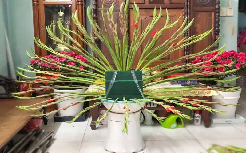 Cắm hoa lay ơn với một miếng xốp đơn giản.