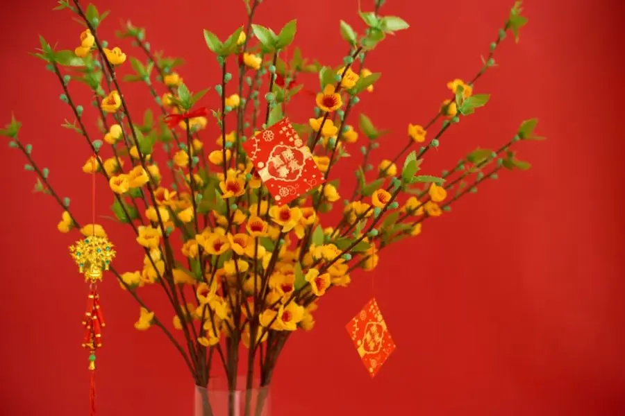 Tặng hoa ngày Tết cho bố mẹ chồng.