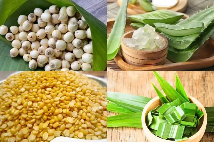 Chè hạt sen đậu xanh nha đam lá dứa với những nguyên liệu tốt cho sức khỏe.