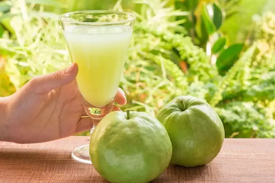 Chất chống oxy hóa trong ổi giúp xây dựng một hệ miễn dịch vững vàng