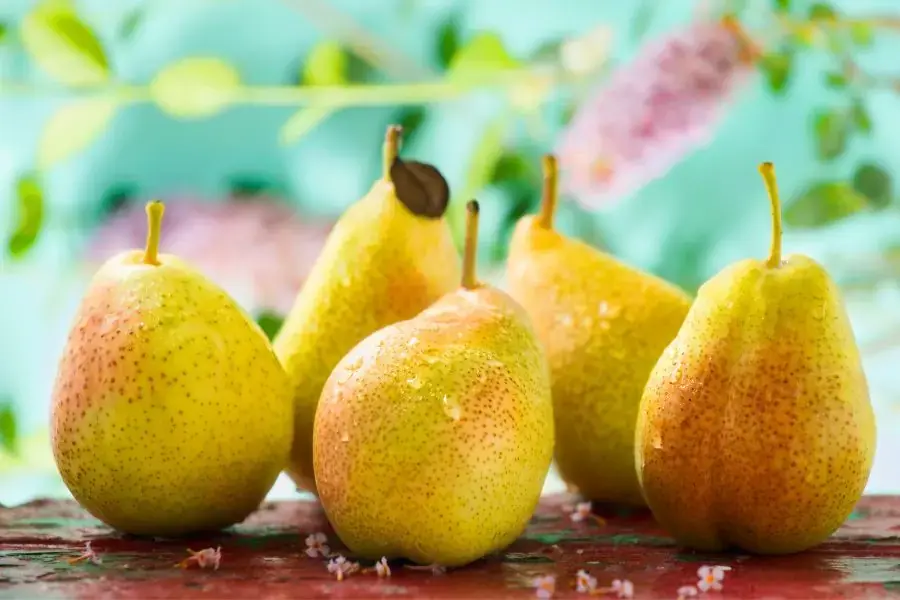 Quả lê ít calo, giàu chất xơ, tạo cảm giác no, hạn chế cơn thèm ăn.