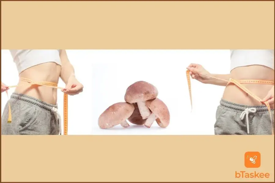 Nấm hương giúp hỗ trợ giảm cân