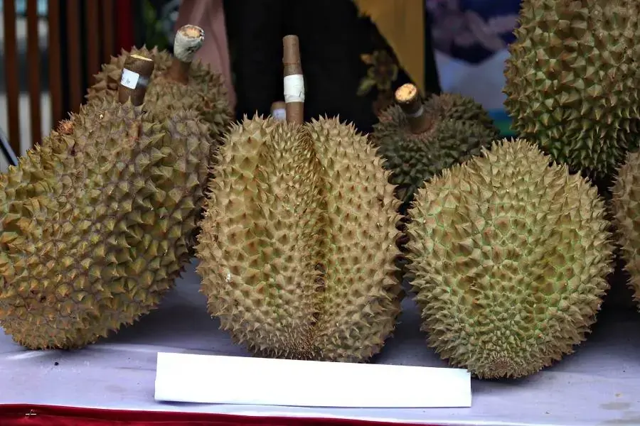 Sầu riêng nguyên vỏ sau thu hoạch