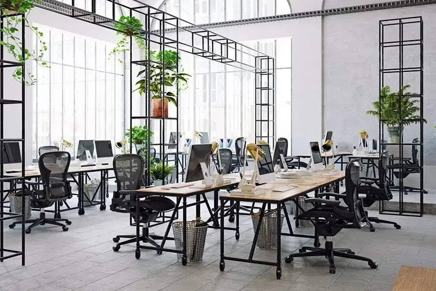 Sự hòa hợp giữa ánh sáng và cây xanh trong phong cách hiện đại