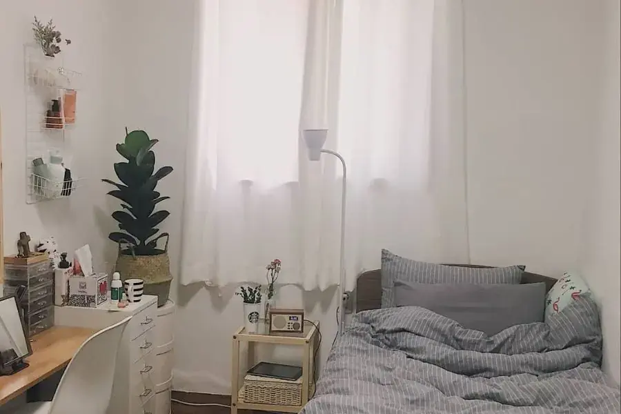 Trồng cây xanh trong phòng tạo cảm giác thoải mái, thư thái hơn