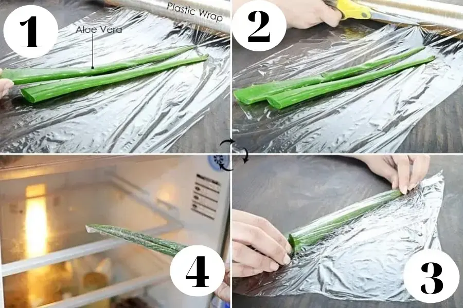 Các bước bảo quản nha đam