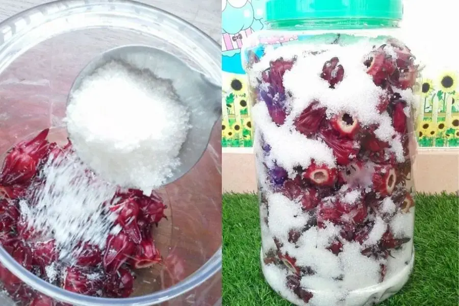 Ướp hoa atiso với đường