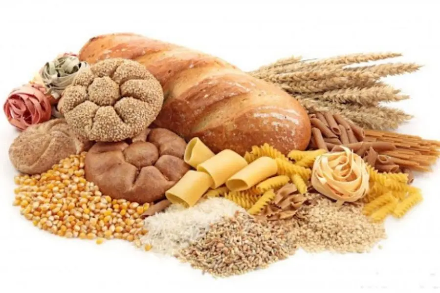 Người cao tuổi không nên ăn quá nhiều chất bột đường