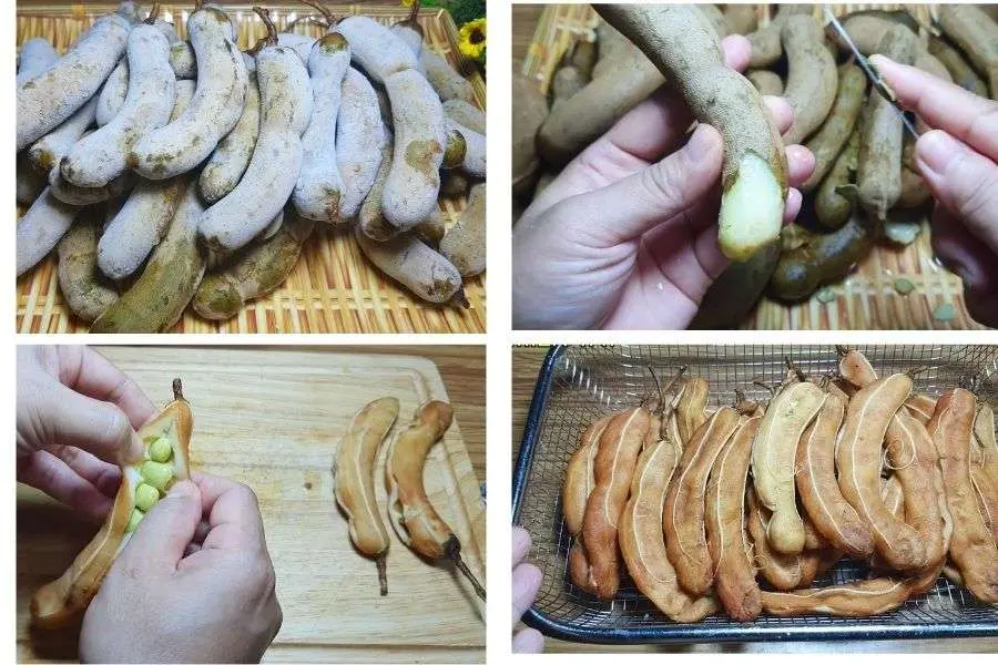 Tách vỏ và hạt me