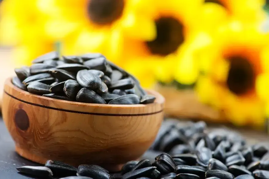 Hạt hướng dương giúp cải thiện hệ tim mạch, hệ tiêu hóa và ngăn ngừa ung thư.