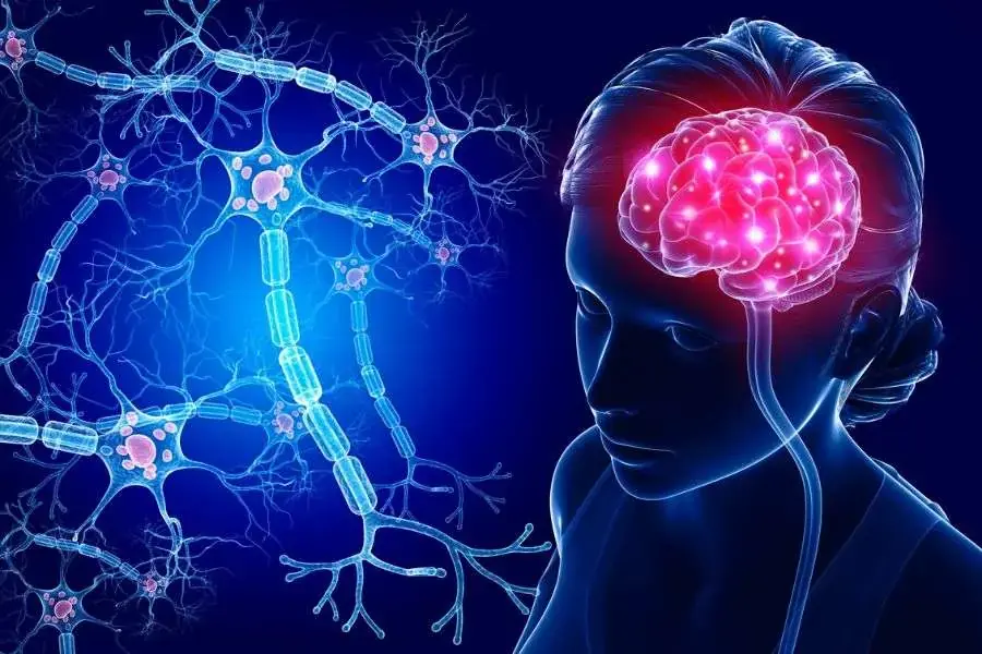 Thực hiện chế độ Keto hỗ trợ cải thiện chức năng não bộ