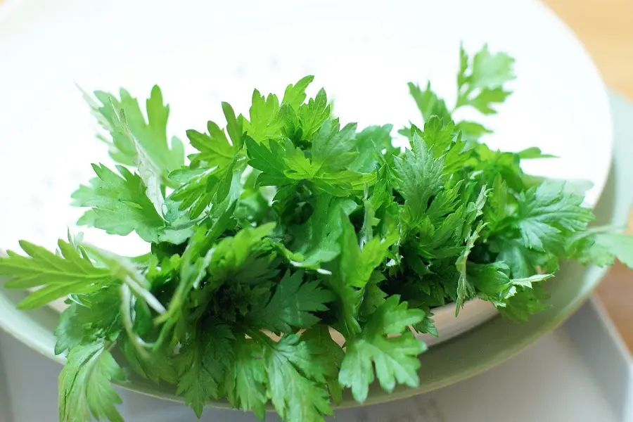 Dùng lá ngải cứu vò với muối để đắp lên vùng lưng bị đau