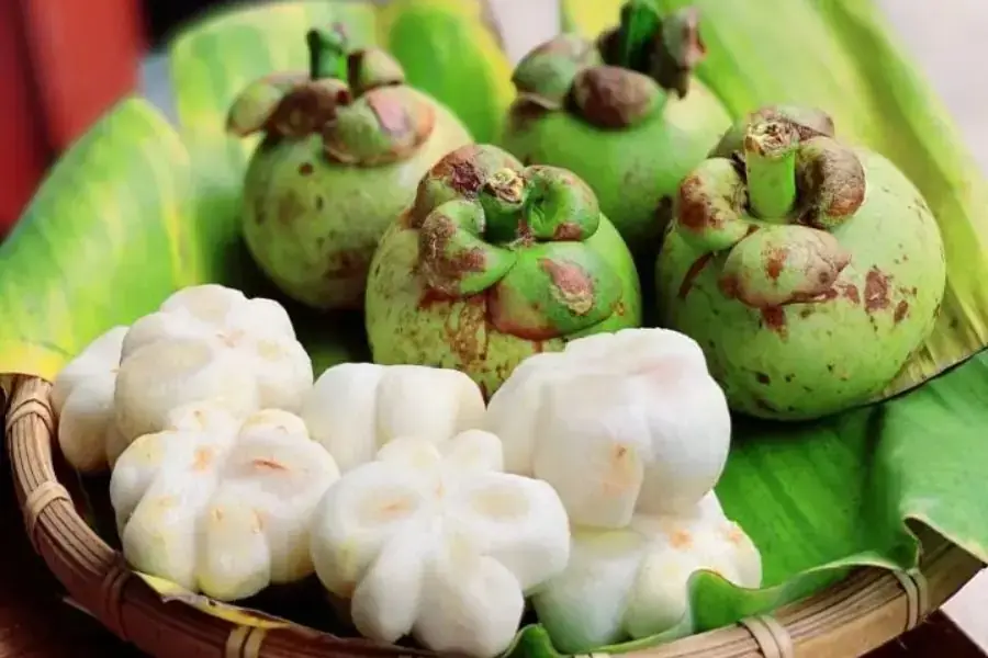 Chọn măng cụt xanh để làm gỏi ngon đúng vị