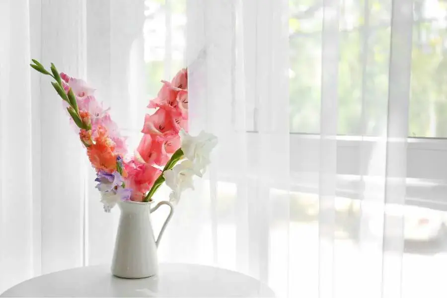 Cắm hoa lay ơn đơn giản với 10 bông và 20 bông.