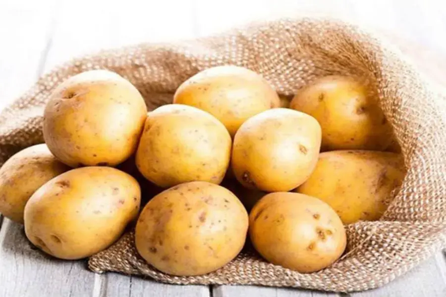 Khoai tây có chứa chất xơ, tinh bột, protein, calo, vitamin và kali có lợi ích cho sức khỏe.