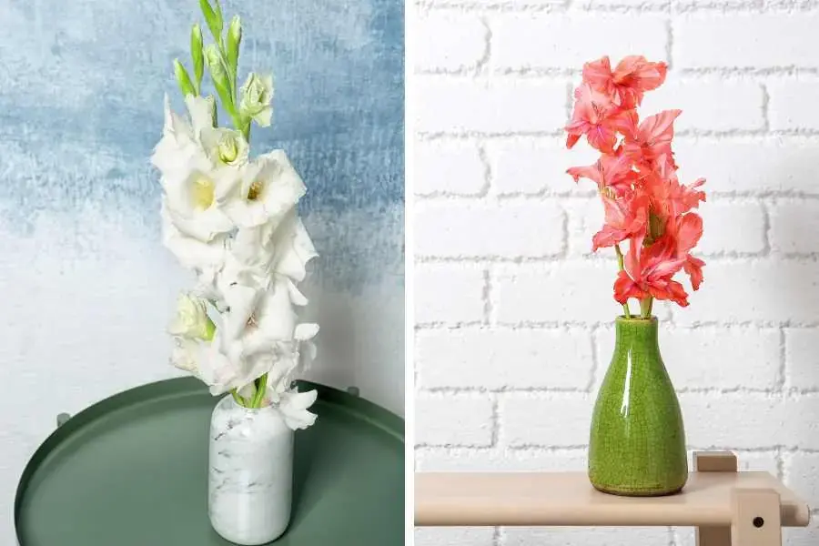 Cắm hoa lay ơn trắng kết hợp với bình gốm hiện đại và đẹp mắt.