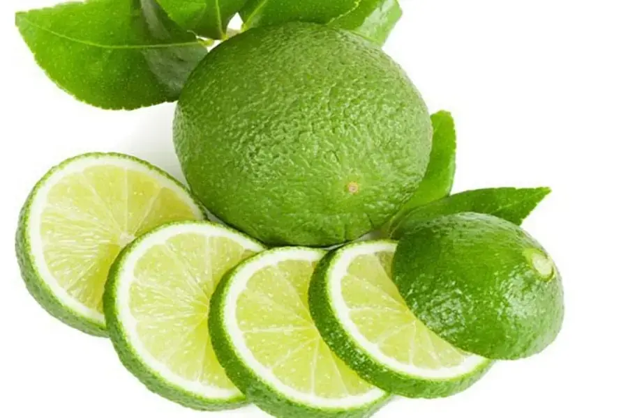 Lát chanh để khử mùi nồi chiên (nguồn: cf.shopee.com.my)