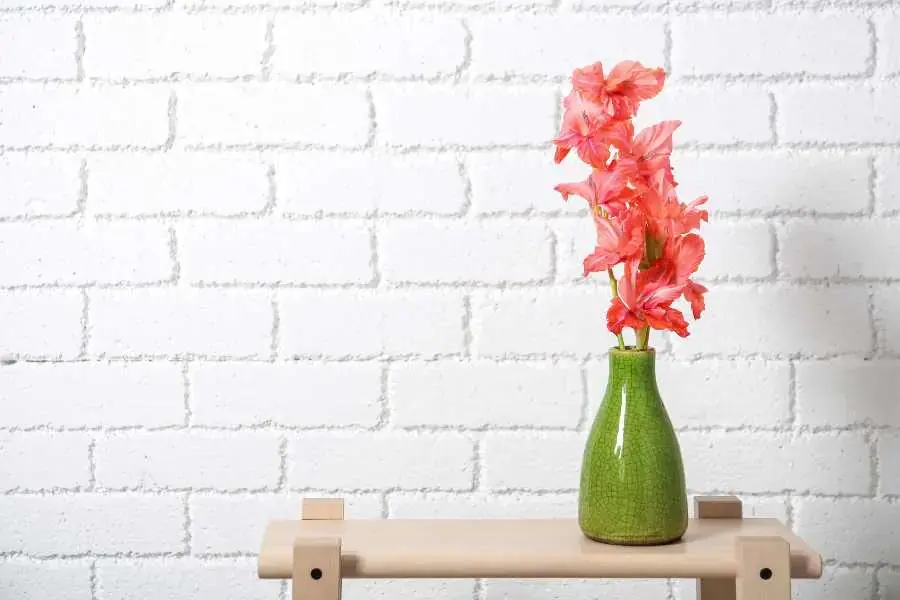 Cắm hoa lay ơn trong bình gốm để bàn đơn giản mà đẹp mắt.