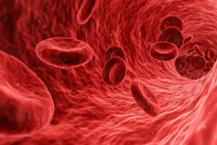 Lycopene trong nước dưa hấu giúp tăng cường lưu thông máu