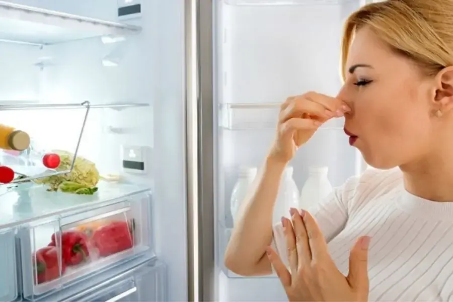 Có thể khử mùi tủ lạnh mới bằng các nguyên liệu từ thiên nhiên