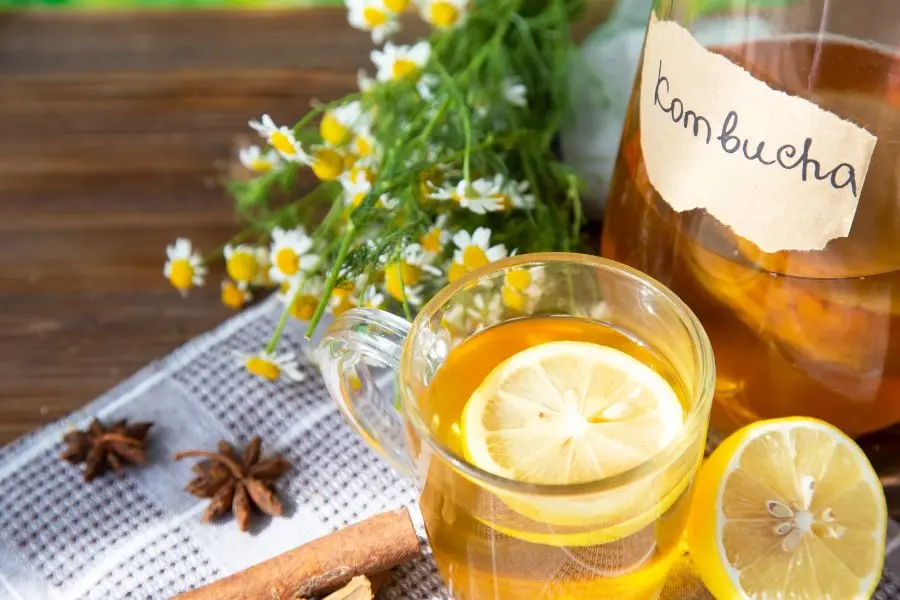 Kombucha được tạo nên từ: Nước lá trà đen, đường cát và một tảo bào mang tên SCOBY.
