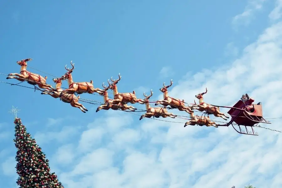 Hầu như đàn tuần lộc của ông già Noel đều là con cái.