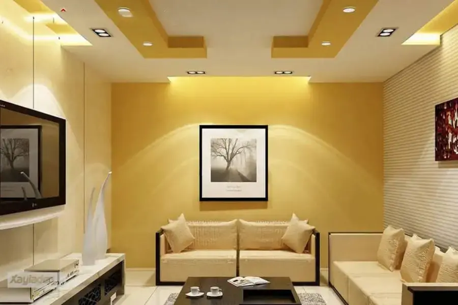 Màu vàng làm cho phòng khách thêm ấn tượng 