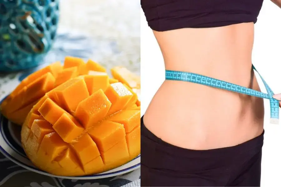 Vỏ quả xoài giúp ức chế sự hình thành các mô mỡ.