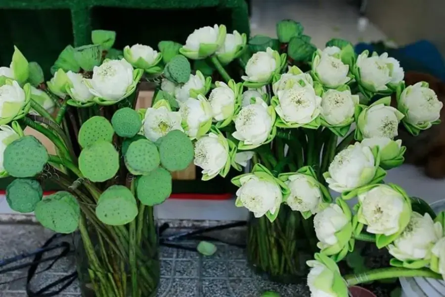 Ý tưởng cắm hoa kết hợp giữa hoa sen và trúc được đánh giá cao bởi sự sáng tạo, giúp không gian trở nên sống động hơn.