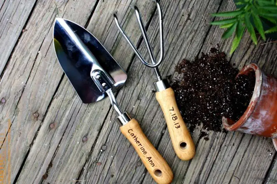 Chuẩn bị một số dụng cụ cần thiết trước khi trồng hoa giấy trong chậu
