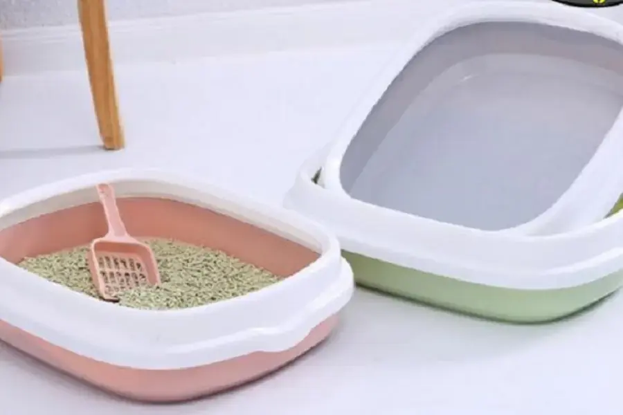 Khay thành thấp được nhiều người ưa chuộng