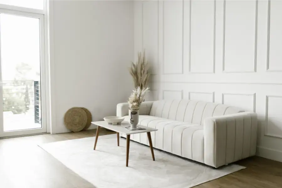 Ghế salon rất dễ dính lông chó, mèo